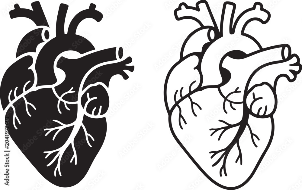 Obraz premium Human heart organ anatomy symbol presented in both solid silhouette and outline graphic style for medical education and science.