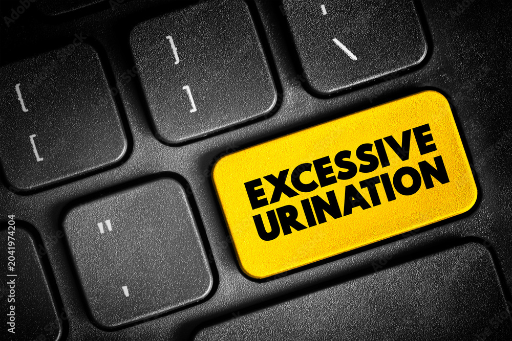 Fototapeta premium Excessive Urination is when you need to urinate many times throughout a 24-hour period, text button on keyboard, concept background