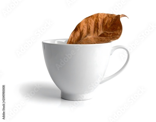 Dry Brown Leaf Resting Inside White Teacup on Light Gray Background