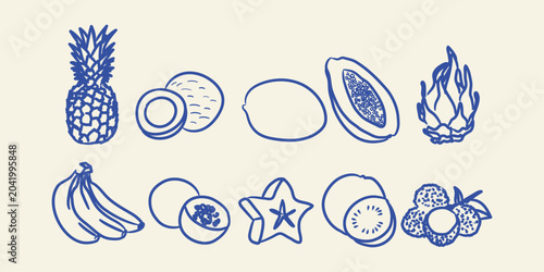 Tropical fruit doodle collection with hand drawn exotic fruit vector illustration