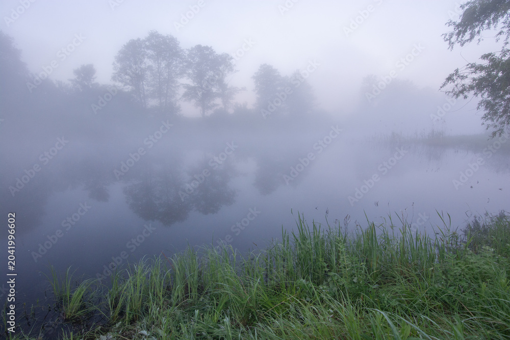 Obraz premium misty lake at dawn, where dense fog obscures the distant trees and reflects softly on water
