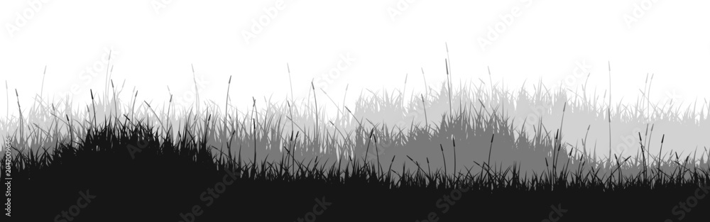 Obraz premium Meadow silhouette with grass, plants on plain. Panoramic summer lawn landscape with herbs, various weeds. Herbal border, frame element. Black horizontal banners. Vector illustration