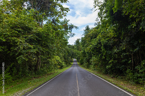 Asphalt road on green tree mountain forest