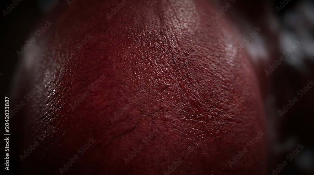 Fototapeta premium Close Up Red Leather Texture Filling Dark Macro Background