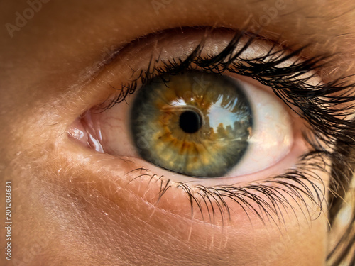 Canvastavla Primer plano de ojo verde avellana con reflejos naturales en el iris — fotografí