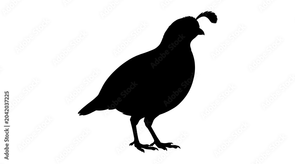 Fototapeta premium Black quail silhouette, bird icon, wildlife illustration, animal design element