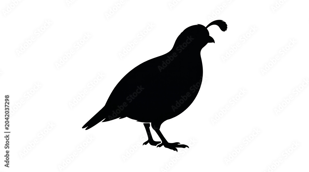 Fototapeta premium Black silhouette quail, bird icon, wildlife illustration, animal design element