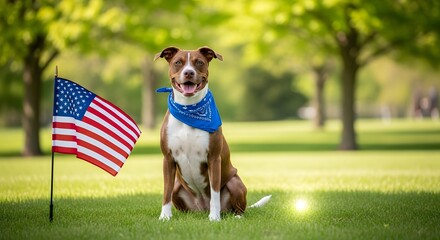 Patriotic dog, American flag, brown and white pet, blue bandana, outdoor portrait