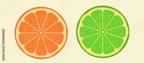 Fotografie Cut in half orange citrus illustration with juicy bright orange segments