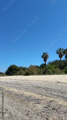 Tropical beach with palm trees, white sand, crystal clear sea, sunny weather, paradise island atmosphere, relaxing coastal view