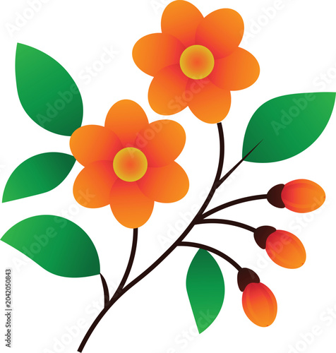 Orange flowers with green leaves on a branch