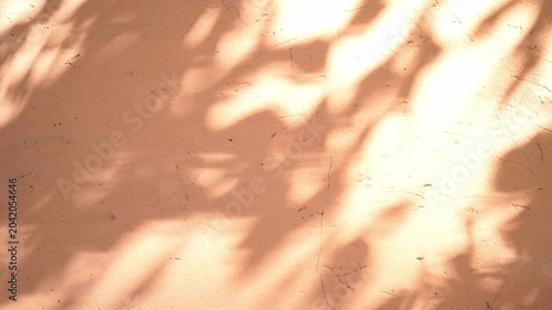 Orange wall background with moving shadows of leaves and foliage gently moving in the wind