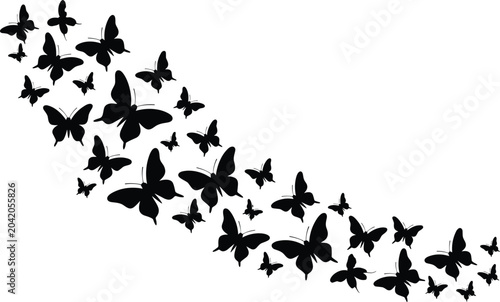 Valokuva Graceful black butterfly silhouettes flying in a decorative curved swarm trail isolated on white with flat lighting