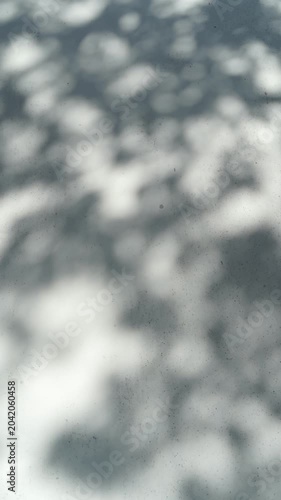 Gray-blue wall background with a shadow of foliage and leaves moving in the wind