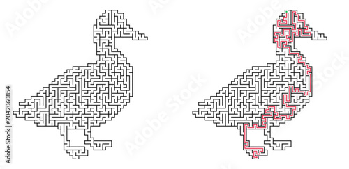 Photography Duck shaped maze with solution
