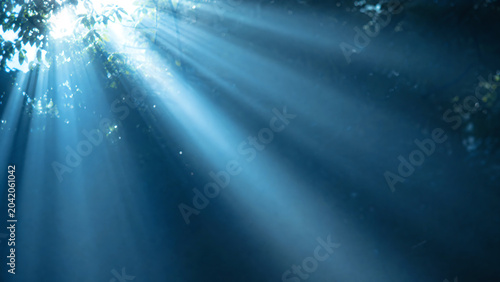 A serene scene depicting sunlight rays piercing through dense foliage, creating a tranquil atmosphere in a natural setting.