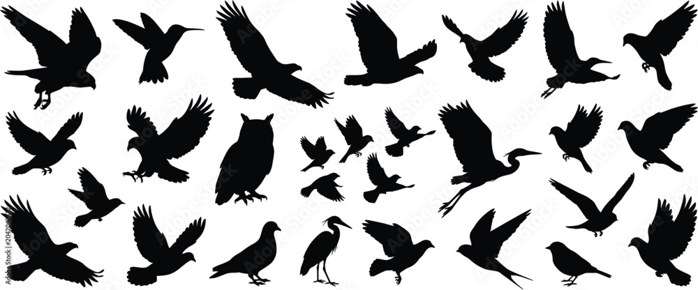 Naklejka premium bird silhouette vector set showing multiple flight poses