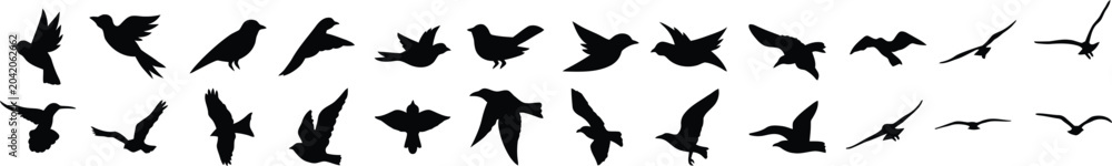 Obraz premium bird flight silhouettes in varied wing positions vector