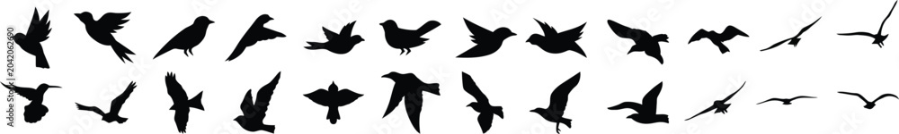 Obraz premium bird wing motion vector icons and clipart silhouettes