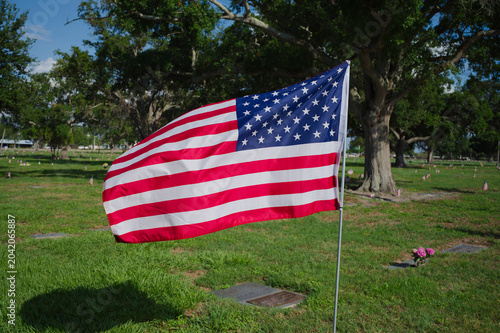 Fotografija American Flags Lining A Cemetery Lawn At Veterans Memorial With Grave Markers And Green Trees remembrance, honor, and patriotism during a veterans memorial observance beneath leafy trees and blue sky