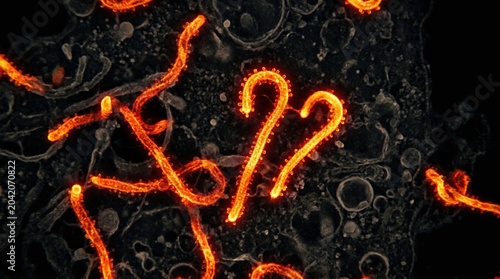 Virus particles interact with each other within a dark environment while glowing in bright orange color