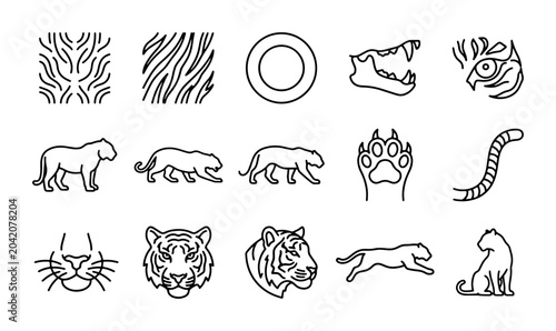 Photography Tiger Icons Set, Wild Cat Vector Graphics, Animal Stripes and Faces, Safari Wild