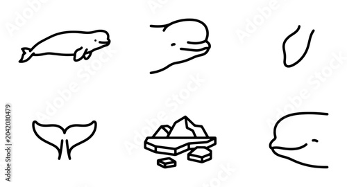 Fotografía Beluga Whale Icons, Arctic Wildlife Vector Graphics, Marine Mammal Illustrations
