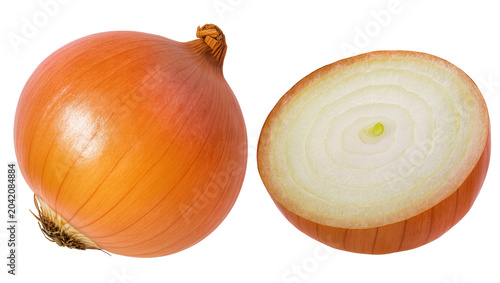 Bild auf Leinwand Whole yellow onion and half cut onion showing rings