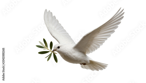 Cuadro en lienzo White dove bird flying with olive branch in beak
