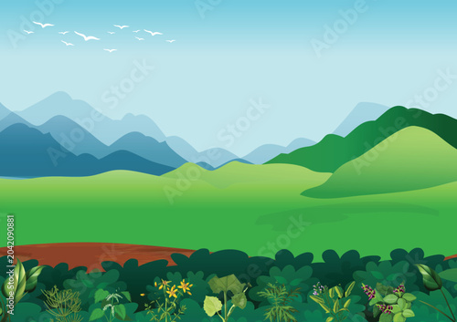 Vibrant nature landscape illustration featuring lush green bushes, colorful wild plants, rolling hills, distant mountains, and birds flying across a clear blue sky. Perfect for educational content.