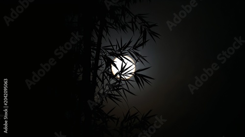 Bamboo silhouette with moonlight glowing through leaves at night