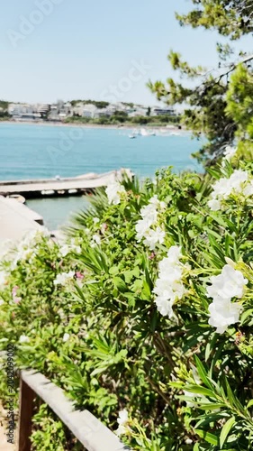 White Flowers Framing a Pier and Blue Sea in Summer.