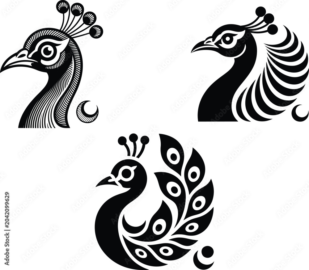 Obraz premium Black peacock, peacock head, vector icons, 3 illustrations, bird symbols