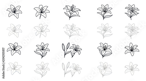 Tableau sur toile Lily Flower Sketch Collection - Hand Drawn Botanical Illustration Set