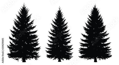 Fir Tree Silhouettes Against White Background Minimalist Forest Scene