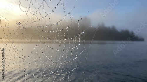 Spiderweb catching dew drops against a misty lake and forest at sunrise