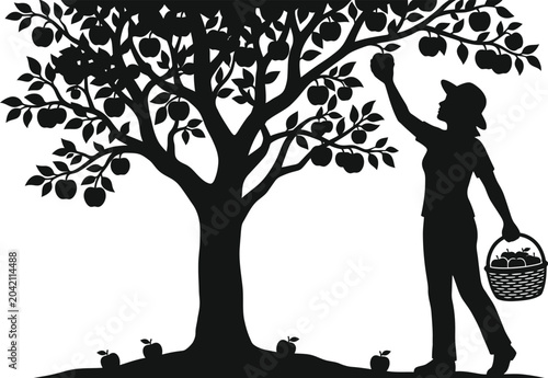 Foto Woman picking apples from a tree silhouette vector illustration.