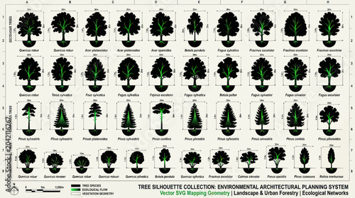 Tree Silhouettes for Environmental Architectural Planning and Landscape Design