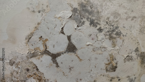 Fotografía Close up of black mold and damp spots spreading on a white concrete wall surface, showing signs of severe water damage, moisture issues, and toxic fungus growth inside a house