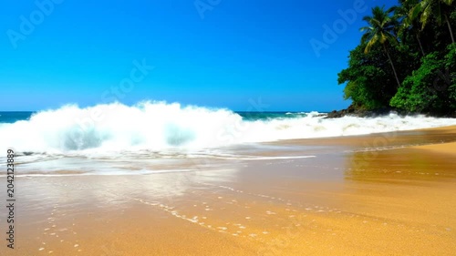Turquoise waves crash on a golden sand beach under a bright blue sky with lush green foliage
