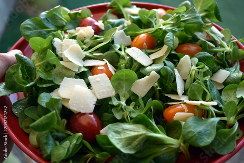 closeup of mixed salad in a red plate in hands of woman