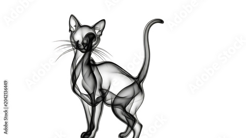 Silhouetted sleek cat in monochromatic shading isolated on a transparent background