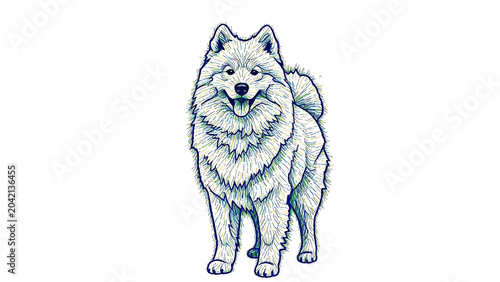 Silhouetted samoyed dog with fluffy white fur standing elegantly isolated on a transparent background
