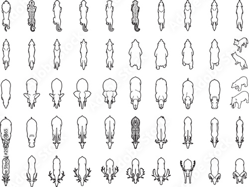 A collection of diverse animal icons, rendered in a clean, minimalist line art style, viewed from a top-down perspective.