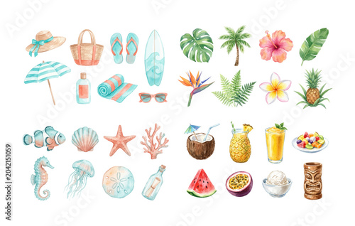 Tropical Beach and Summer Watercolor Vector Set with Seashells and Fruit