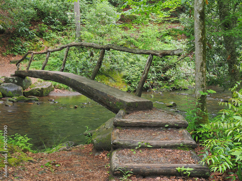The Simple Old Fashion Tree Bridge Over the Oconalutee River in Smokemont Campground North Carolina