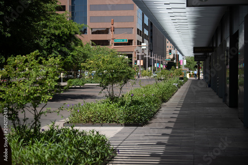 City greening project at 1st and Van Buren in Phoenix Arizona