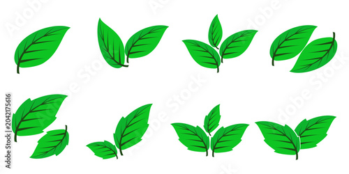 Fotografija Leaf vector symbol, leaf illustration or leaf emoji in flat style