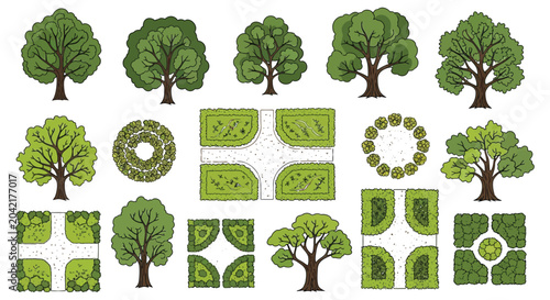 Tableau sur toile trees and shrubs vector illustration plants landscape