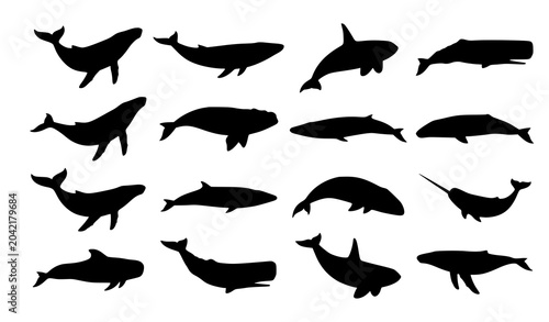 Canvas Print Marine whale silhouette vector assortment featuring ocean wildlife isolated on w